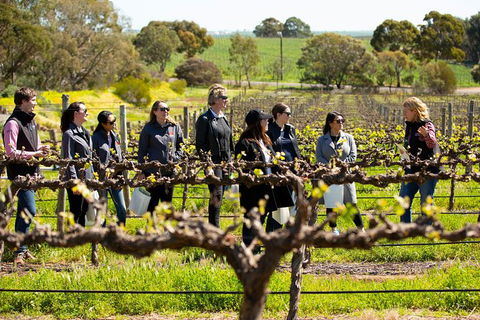 Walk, Taste, Graze - Experience At Pindarie - ACT Tourism 2