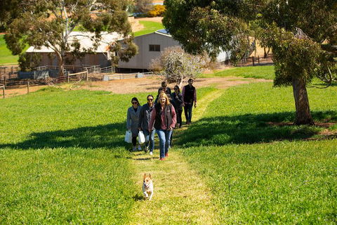 Walk, Taste, Graze - Experience At Pindarie - ACT Tourism 7