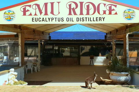 Full-Day Kangaroo Island Safari From Penneshaw - ACT Tourism 3