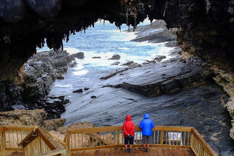 Full-Day Kangaroo Island Safari From Penneshaw - ACT Tourism 1
