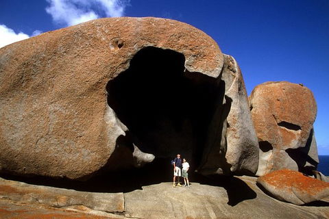 Full-Day Kangaroo Island Safari From Penneshaw - ACT Tourism 0