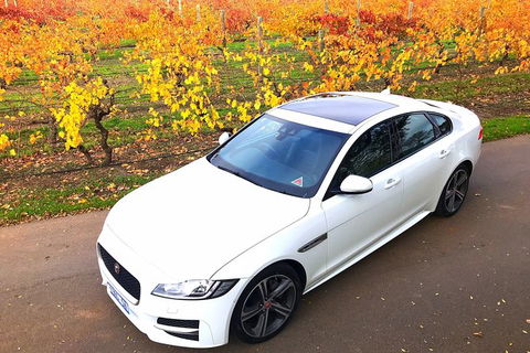 Luxury Jaguar Barossa Valley Half Day Private Tour For 2 - ACT Tourism 2