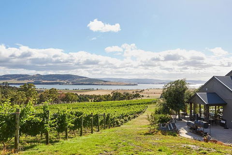 Launceston Wine & Sightseeing Tours - ACT Tourism 0
