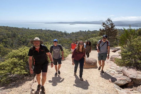 Half-Day Tour To Wineglass Bay From Launceston With Guide - ACT Tourism 4