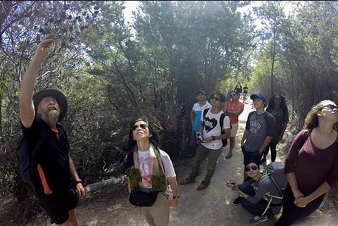 Half-Day Tour To Wineglass Bay From Launceston With Guide - ACT Tourism 1