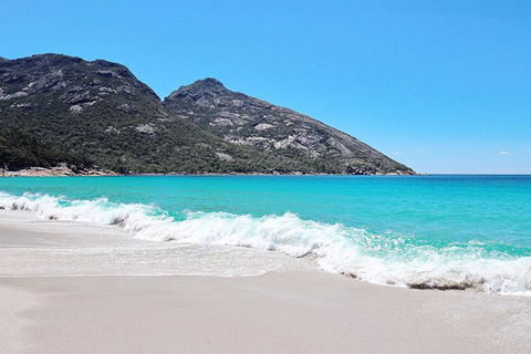 Sea & Explore Wineglass Bay & Freycinet National Park - Cruise & Walk - ACT Tourism 4