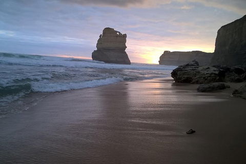 Private Express Experience - 12 Apostles - ACT Tourism 19