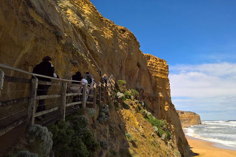 Private Express Experience - 12 Apostles - ACT Tourism 15