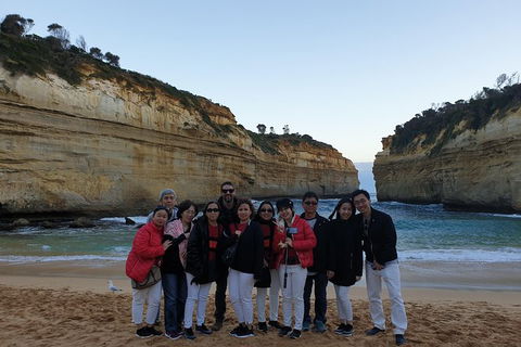 Private Express Experience - 12 Apostles - ACT Tourism 24