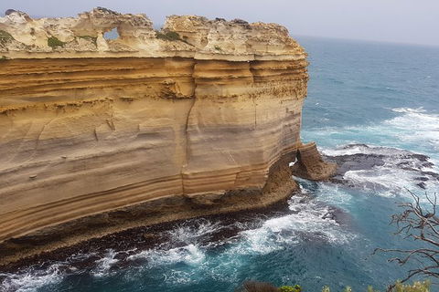 Private Express Experience - 12 Apostles - ACT Tourism 22