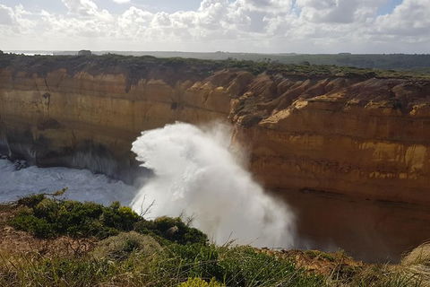Private Express Experience - 12 Apostles - ACT Tourism 11