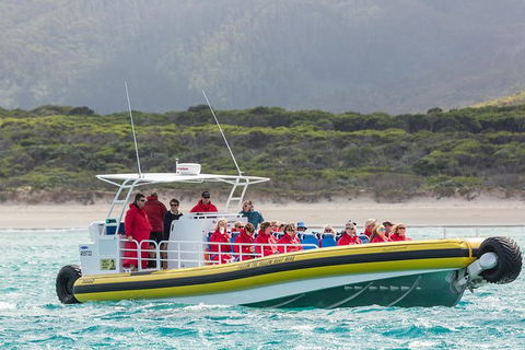 Wilsons Promontory Wilderness Cruise From Tidal River - ACT Tourism 2