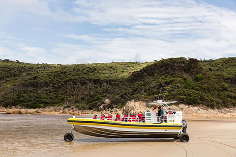 Wilsons Promontory Wilderness Cruise From Tidal River - ACT Tourism 1