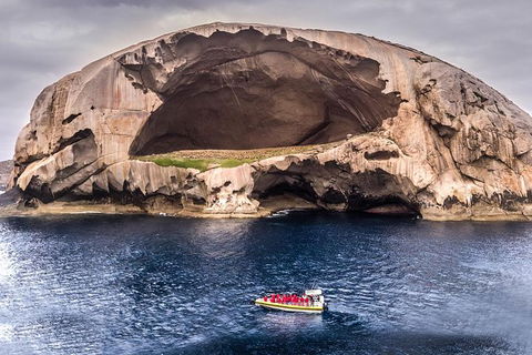 Wilsons Promontory Wilderness Cruise From Tidal River - ACT Tourism 0