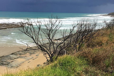 3-Day Melbourne To Adelaide Tour Including The Great Ocean Road - ACT Tourism 9