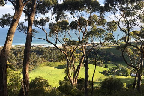 3-Day Melbourne To Adelaide Tour Including The Great Ocean Road - ACT Tourism 4