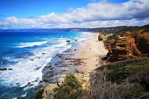 Split Point Lighthouse Tours - ACT Tourism 2