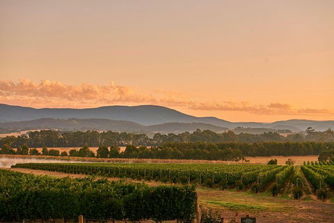 Yarra Valley Wine Masterclass - Up To 6 - ACT Tourism 0