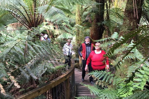 Overnight Great Ocean Road Tour From Melbourne - ACT Tourism 2