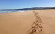 3 Day Private Tour Of Phillip Island, Great Ocean Road & Mornington Peninsula - thumb 1