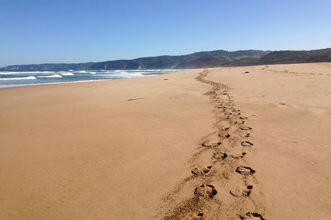 3 Day Private Tour Of Phillip Island, Great Ocean Road & Mornington Peninsula - ACT Tourism 1