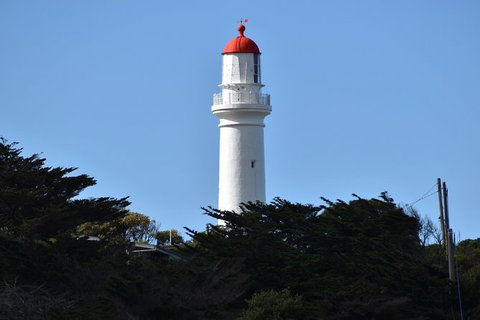 Great Ocean Road Tour Plus Koalas, Forest Walk And Morning Tea. - ACT Tourism 1