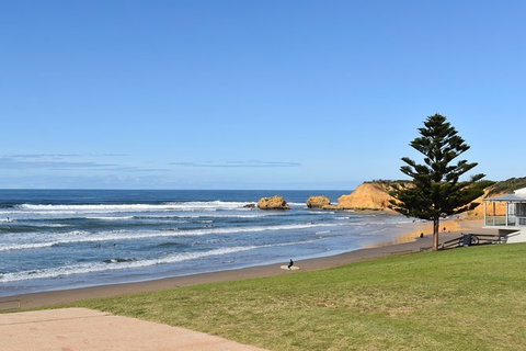 Great Ocean Road Tour Plus Koalas, Forest Walk And Morning Tea. - ACT Tourism 3