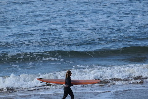 Great Ocean Road Tour Plus Koalas, Forest Walk And Morning Tea. - ACT Tourism 8