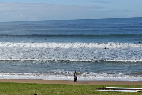 Great Ocean Road Tour Plus Koalas, Forest Walk And Morning Tea. - ACT Tourism 9