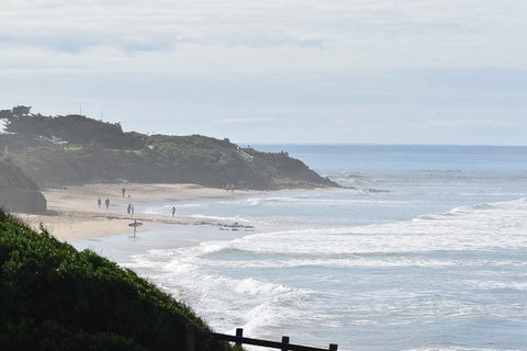 Great Ocean Road Tour Plus Koalas, Forest Walk And Morning Tea. - ACT Tourism 10