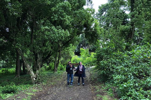 Alices Journeys Guided Walking Tours Of Daylesford - ACT Tourism 5