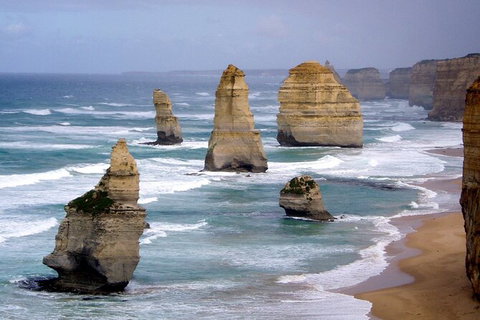 LGBT+ Friendly 2 Day Private Tour Great Ocean Road + Phillip Island - ACT Tourism 0