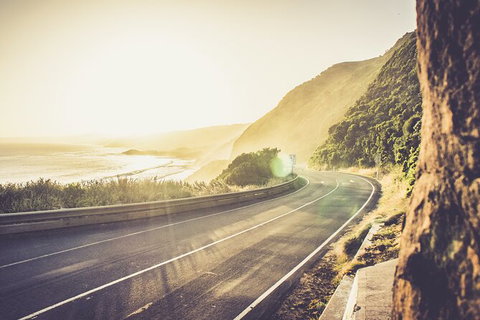 LGBT+ Friendly 2 Day Private Tour Great Ocean Road + Phillip Island - ACT Tourism 3