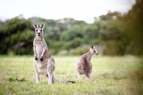 LGBT+ Friendly 3 Day Tour The Grampians, Daylesford & Ballarat - ACT Tourism 2
