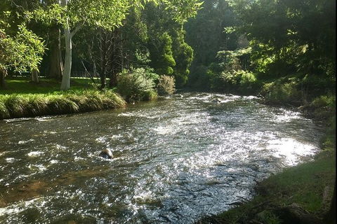 Watertube Experience In Yarra River - ACT Tourism 3