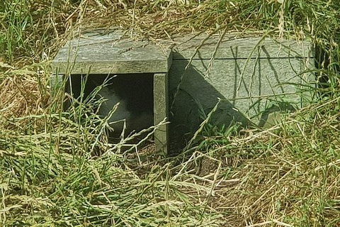 Phillip Island Penguin And Wildlife Tour - ACT Tourism 11