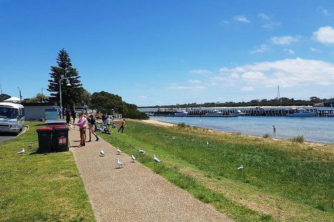 Phillip Island Penguin And Wildlife Tour - ACT Tourism 25