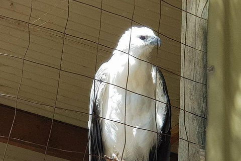 Phillip Island Penguin And Wildlife Tour - ACT Tourism 21