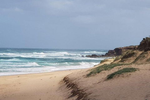 Phillip Island Penguin And Wildlife Tour - ACT Tourism 10