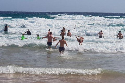 Phillip Island Penguin And Wildlife Tour - ACT Tourism 18