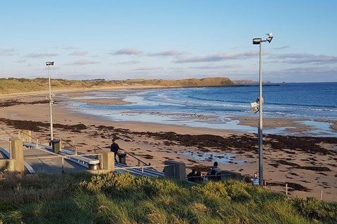 Phillip Island Penguin And Wildlife Tour - ACT Tourism 8