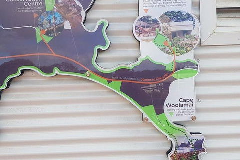 Phillip Island Penguin And Wildlife Tour - ACT Tourism 29