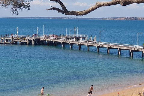 Phillip Island Penguin And Wildlife Tour - ACT Tourism 2