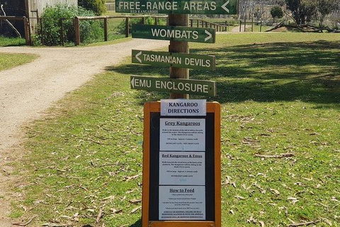 Phillip Island Penguin And Wildlife Tour - ACT Tourism 4