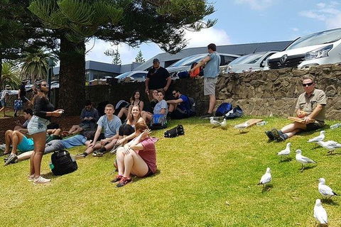 Phillip Island Penguin And Wildlife Tour - ACT Tourism 22