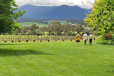 Yarra Valley Wine Tasting Day Tour From Melbourne - ACT Tourism 6