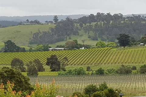 Yarra Valley Wine Tasting Day Tour From Melbourne - ACT Tourism 0