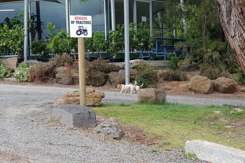 Yarra Valley Wineries And Rayners Orchard Tour From Melbourne - ACT Tourism 1