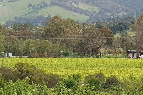 Day Tour Of Yarra Valley Puffing Billy And Rayners Orchard - ACT Tourism 44