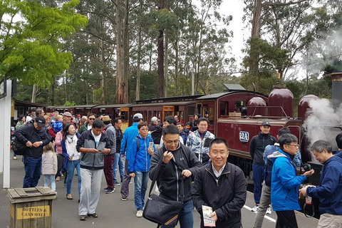 Day Tour Of Yarra Valley Puffing Billy And Rayners Orchard - ACT Tourism 3